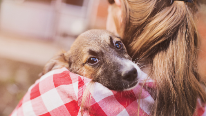 hondje - nieuwe hond - hond schouder vrouw